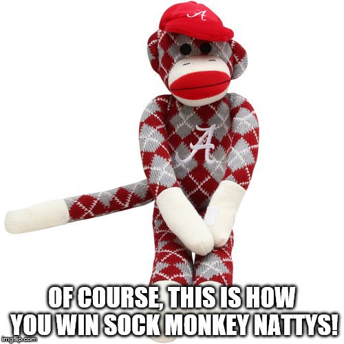  OF COURSE, THIS IS HOW YOU WIN SOCK MONKEY NATTYS! | image tagged in bammer,rtr,tards,spuat | made w/ Imgflip meme maker
