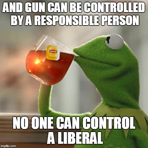 But That's None Of My Business Meme | AND GUN CAN BE CONTROLLED BY A RESPONSIBLE PERSON NO ONE CAN CONTROL A LIBERAL | image tagged in memes,but thats none of my business,kermit the frog | made w/ Imgflip meme maker
