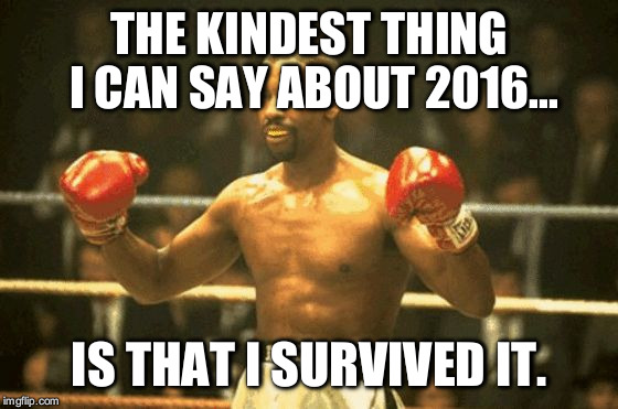 THE KINDEST THING I CAN SAY ABOUT 2016... IS THAT I SURVIVED IT. | image tagged in hurricane '16 | made w/ Imgflip meme maker