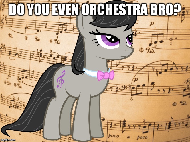 DO YOU EVEN ORCHESTRA BRO? | made w/ Imgflip meme maker