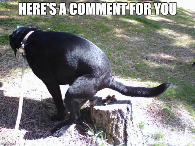 HERE'S A COMMENT FOR YOU | made w/ Imgflip meme maker