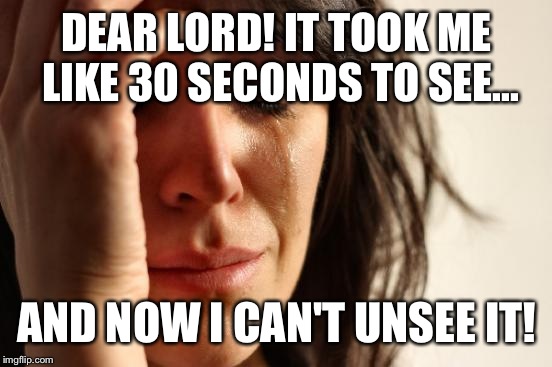 First World Problems Meme | DEAR LORD! IT TOOK ME LIKE 30 SECONDS TO SEE... AND NOW I CAN'T UNSEE IT! | image tagged in memes,first world problems | made w/ Imgflip meme maker