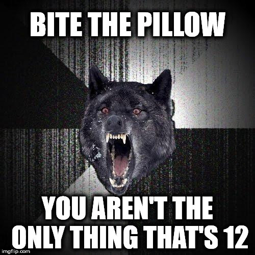 Insanity Wolf Meme | BITE THE PILLOW; YOU AREN'T THE ONLY THING THAT'S 12 | image tagged in memes,insanity wolf | made w/ Imgflip meme maker