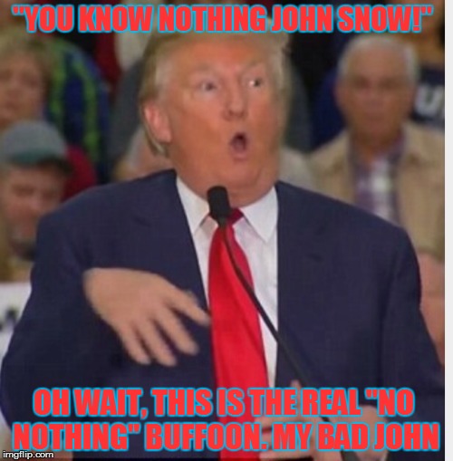 Donald Trump tho | "YOU KNOW NOTHING JOHN SNOW!"; OH WAIT, THIS IS THE REAL "NO NOTHING" BUFFOON. MY BAD JOHN | image tagged in donald trump tho | made w/ Imgflip meme maker