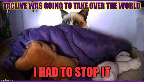 Grumpy Cat overthrows taclivE in a New Year's Eve coup | TACLIVE WAS GOING TO TAKE OVER THE WORLD; I HAD TO STOP IT | image tagged in making plans grumpy,memes | made w/ Imgflip meme maker