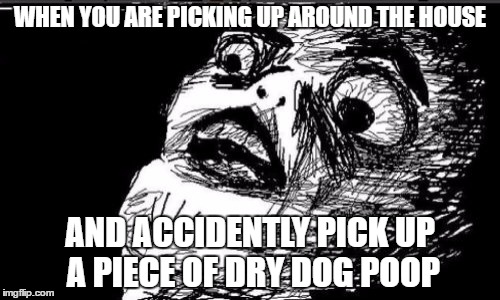 Gasp Rage Face | WHEN YOU ARE PICKING UP AROUND THE HOUSE; AND ACCIDENTLY PICK UP A PIECE OF DRY DOG POOP | image tagged in memes,gasp rage face | made w/ Imgflip meme maker