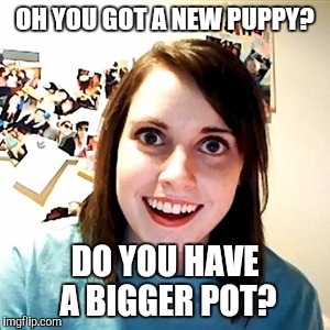Crazy Girlfriend | OH YOU GOT A NEW PUPPY? DO YOU HAVE A BIGGER POT? | image tagged in crazy girlfriend | made w/ Imgflip meme maker