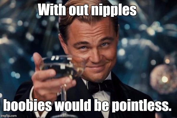 Leonardo Dicaprio Cheers Meme | With out nipples boobies would be pointless. | image tagged in memes,leonardo dicaprio cheers | made w/ Imgflip meme maker