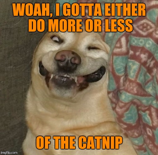 WOAH, I GOTTA EITHER DO MORE OR LESS OF THE CATNIP | made w/ Imgflip meme maker