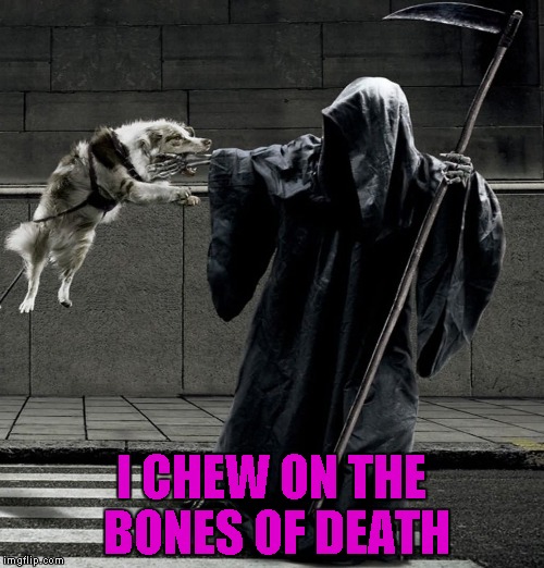 I CHEW ON THE BONES OF DEATH | made w/ Imgflip meme maker