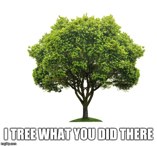 I TREE WHAT YOU DID THERE | made w/ Imgflip meme maker