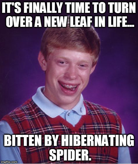 New Years resolutions are not a joking matter.
 | IT'S FINALLY TIME TO TURN OVER A NEW LEAF IN LIFE... BITTEN BY HIBERNATING SPIDER. | image tagged in memes,bad luck brian,new years,funny,2017,resolution | made w/ Imgflip meme maker