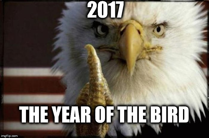 The year of the bird | 2017; THE YEAR OF THE BIRD | image tagged in 2017 the year of the bird,the bird,flip the bird,the middle finger | made w/ Imgflip meme maker