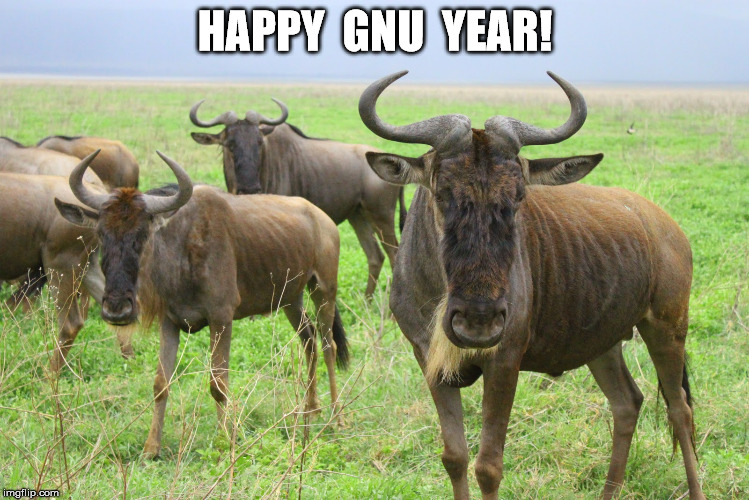 What's Gnu? | HAPPY  GNU  YEAR! | image tagged in gnu | made w/ Imgflip meme maker