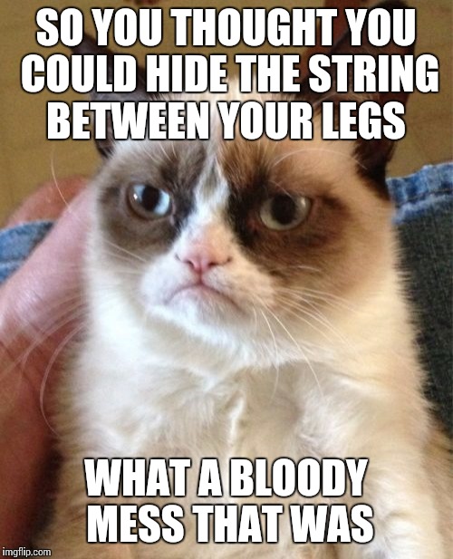 Grumpy Cat | SO YOU THOUGHT YOU COULD HIDE THE STRING BETWEEN YOUR LEGS; WHAT A BLOODY MESS THAT WAS | image tagged in memes,grumpy cat | made w/ Imgflip meme maker