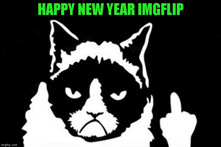 Wishing all of Imgflip a Happy New Year!!! Hope it's a wonderful year for everyone! | HAPPY NEW YEAR IMGFLIP | image tagged in grumpy cat flipping the bird,memes,happy new year,grumpy cat,cats | made w/ Imgflip meme maker