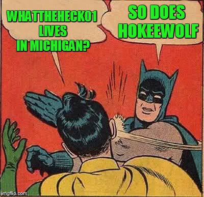 Batman Slapping Robin Meme | WHATTHEHECK01 LIVES IN MICHIGAN? SO DOES HOKEEWOLF | image tagged in memes,batman slapping robin | made w/ Imgflip meme maker