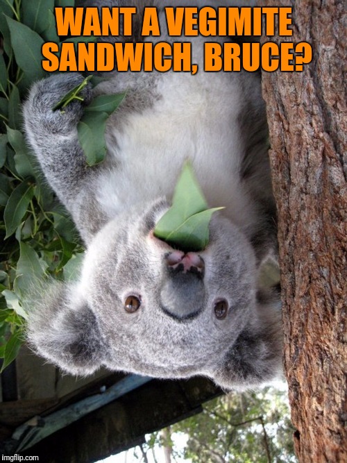 WANT A VEGIMITE SANDWICH, BRUCE? | made w/ Imgflip meme maker