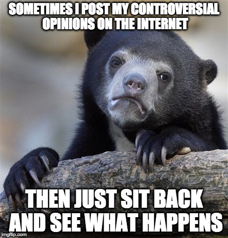 Confession Bear |  SOMETIMES I POST MY CONTROVERSIAL OPINIONS ON THE INTERNET; THEN JUST SIT BACK AND SEE WHAT HAPPENS | image tagged in memes,confession bear | made w/ Imgflip meme maker
