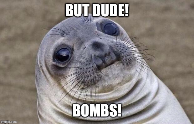 Awkward Moment Sealion Meme | BUT DUDE! BOMBS! | image tagged in memes,awkward moment sealion | made w/ Imgflip meme maker
