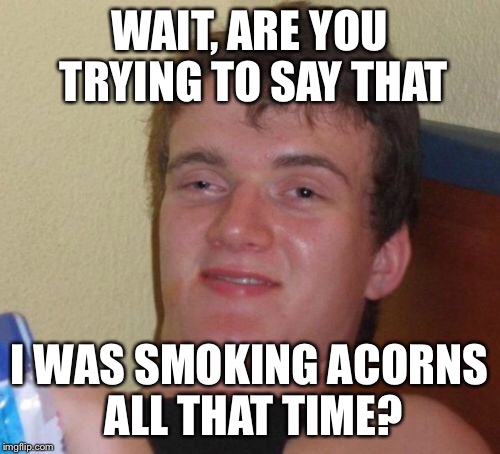 10 Guy Meme | WAIT, ARE YOU TRYING TO SAY THAT I WAS SMOKING ACORNS ALL THAT TIME? | image tagged in memes,10 guy | made w/ Imgflip meme maker