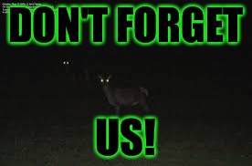 ... | DON'T FORGET US! | image tagged in creepy,deer | made w/ Imgflip meme maker