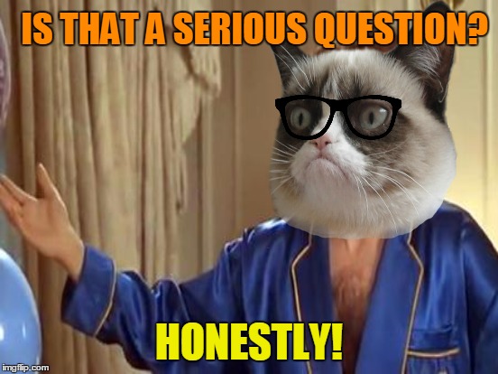 IS THAT A SERIOUS QUESTION? HONESTLY! | made w/ Imgflip meme maker