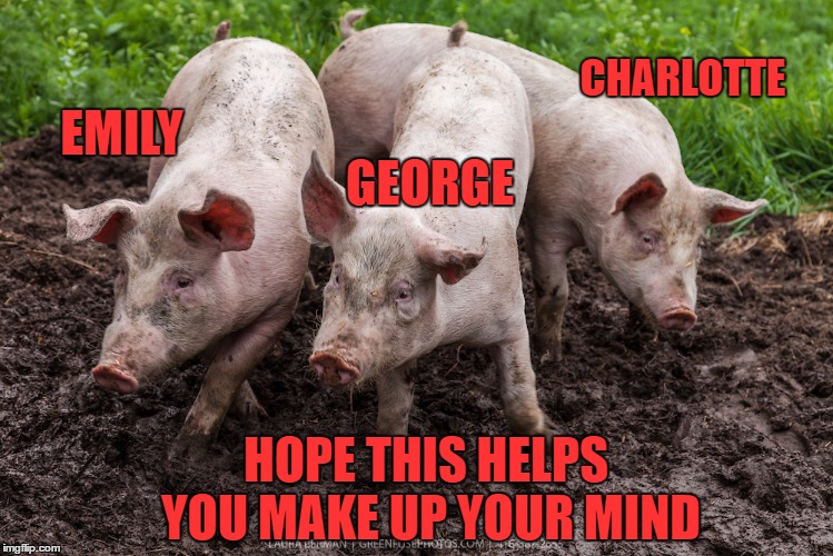 CHARLOTTE GEORGE EMILY HOPE THIS HELPS YOU MAKE UP YOUR MIND | made w/ Imgflip meme maker