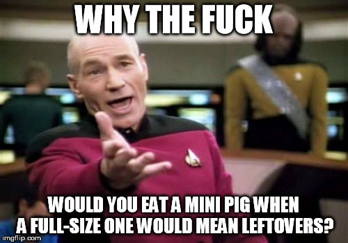 Meme Comment | WHY THE F**K WOULD YOU EAT A MINI PIG WHEN A FULL-SIZE ONE WOULD MEAN LEFTOVERS? | made w/ Imgflip meme maker