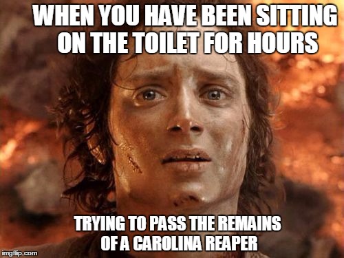 It's Finally Over | WHEN YOU HAVE BEEN SITTING ON THE TOILET FOR HOURS; TRYING TO PASS THE REMAINS OF A CAROLINA REAPER | image tagged in memes,its finally over | made w/ Imgflip meme maker