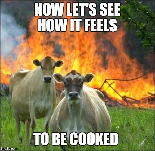 Evil Cows Meme | NOW LET'S SEE HOW IT FEELS; TO BE COOKED | image tagged in memes,evil cows | made w/ Imgflip meme maker