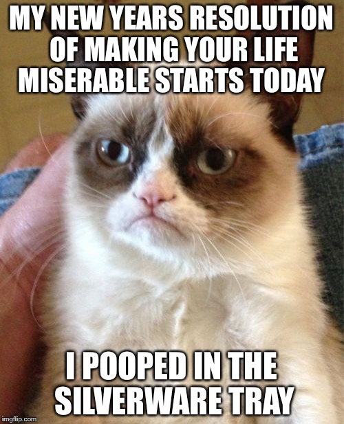 Grumpy Cat | MY NEW YEARS RESOLUTION OF MAKING YOUR LIFE MISERABLE STARTS TODAY; I POOPED IN THE SILVERWARE TRAY | image tagged in memes,grumpy cat | made w/ Imgflip meme maker