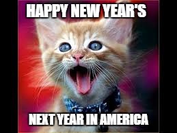 Happy New Year's Cat | HAPPY NEW YEAR'S; NEXT YEAR IN AMERICA | image tagged in cat,kitten,new year's,happy | made w/ Imgflip meme maker
