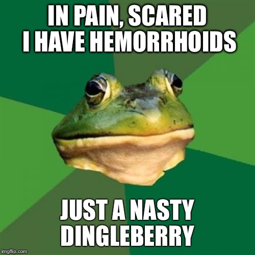 Foul Bachelor Frog Meme | IN PAIN, SCARED I HAVE HEMORRHOIDS; JUST A NASTY DINGLEBERRY | image tagged in memes,foul bachelor frog | made w/ Imgflip meme maker