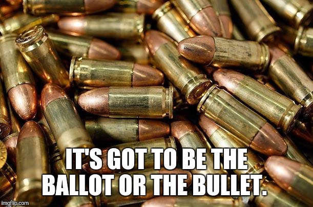 Bullets | IT'S GOT TO BE THE BALLOT OR THE BULLET. | image tagged in bullets | made w/ Imgflip meme maker