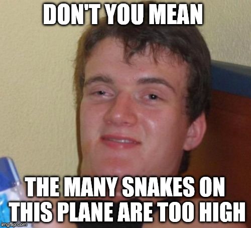 10 Guy Meme | DON'T YOU MEAN THE MANY SNAKES ON THIS PLANE ARE TOO HIGH | image tagged in memes,10 guy | made w/ Imgflip meme maker