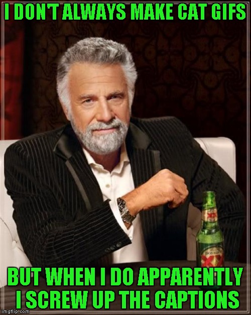 The Most Interesting Man In The World Meme | I DON'T ALWAYS MAKE CAT GIFS BUT WHEN I DO APPARENTLY I SCREW UP THE CAPTIONS | image tagged in memes,the most interesting man in the world | made w/ Imgflip meme maker