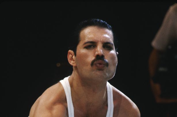 Freddie Mercury Blank Meme Template