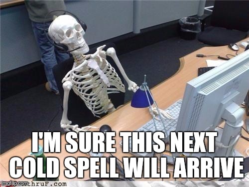 Waiting skeleton | I'M SURE THIS NEXT COLD SPELL WILL ARRIVE | image tagged in waiting skeleton | made w/ Imgflip meme maker