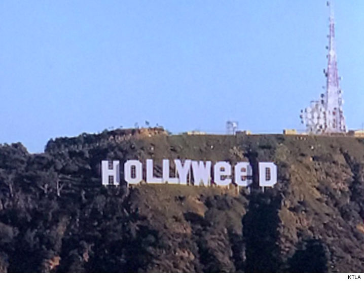 High Quality hollyweed Blank Meme Template