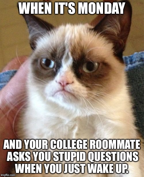 Grumpy Cat Meme | WHEN IT'S MONDAY; AND YOUR COLLEGE ROOMMATE ASKS YOU STUPID QUESTIONS WHEN YOU JUST WAKE UP. | image tagged in memes,grumpy cat | made w/ Imgflip meme maker