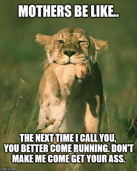 My mom didn't take no crap, when she called, you ran home!  | MOTHERS BE LIKE.. THE NEXT TIME I CALL YOU, YOU BETTER COME RUNNING. DON'T MAKE ME COME GET YOUR ASS. | image tagged in moms,funny,lmao,clifton shepherd cliffshep | made w/ Imgflip meme maker