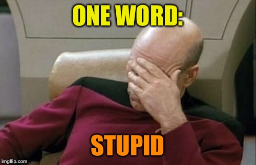 Captain Picard Facepalm Meme | ONE WORD: STUPID | image tagged in memes,captain picard facepalm | made w/ Imgflip meme maker