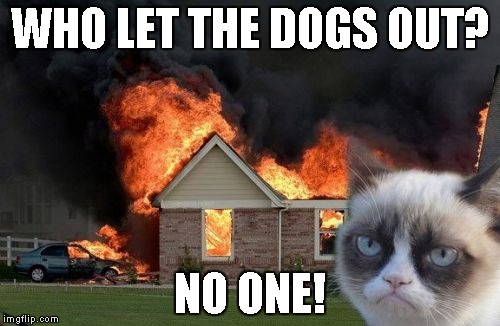 Burn Kitty | WHO LET THE DOGS OUT? NO ONE! | image tagged in memes,burn kitty,grumpy cat | made w/ Imgflip meme maker