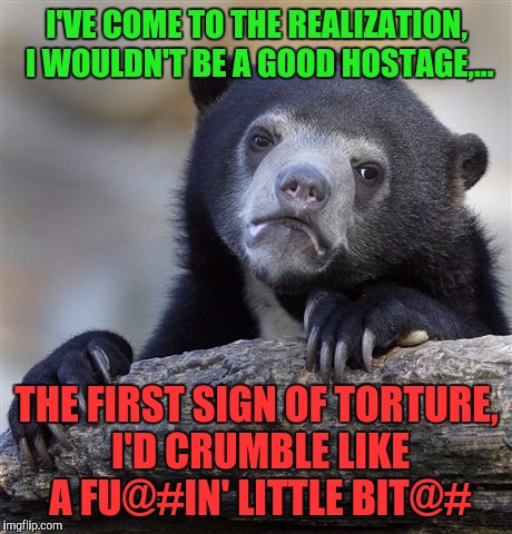 Seriously, I'd tell ya whatever ya friggin wanna know | I'VE COME TO THE REALIZATION, I WOULDN'T BE A GOOD HOSTAGE,... THE FIRST SIGN OF TORTURE, I'D CRUMBLE LIKE A FU@#IN' LITTLE BIT@# | image tagged in memes,confession bear,sewmyeyesshut,torture | made w/ Imgflip meme maker