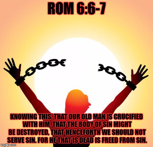 freedom | ROM 6:6-7; KNOWING THIS, THAT OUR OLD MAN IS CRUCIFIED WITH HIM, THAT THE BODY OF SIN MIGHT BE DESTROYED, THAT HENCEFORTH WE SHOULD NOT SERVE SIN. FOR HE THAT IS DEAD IS FREED FROM SIN. | image tagged in freedom | made w/ Imgflip meme maker