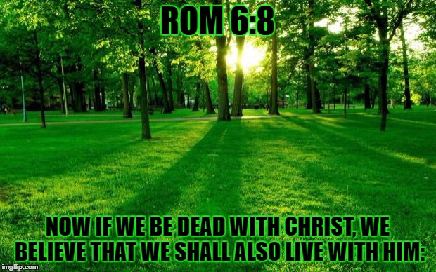 Landscape | ROM 6:8; NOW IF WE BE DEAD WITH CHRIST, WE BELIEVE THAT WE SHALL ALSO LIVE WITH HIM: | image tagged in landscape | made w/ Imgflip meme maker