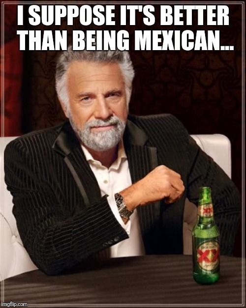 The Most Interesting Man In The World Meme | I SUPPOSE IT'S BETTER THAN BEING MEXICAN... | image tagged in memes,the most interesting man in the world | made w/ Imgflip meme maker