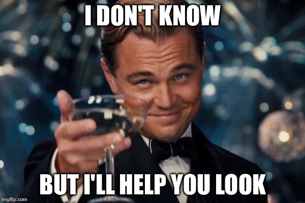 Leonardo Dicaprio Cheers Meme | I DON'T KNOW BUT I'LL HELP YOU LOOK | image tagged in memes,leonardo dicaprio cheers | made w/ Imgflip meme maker