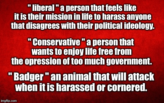 Liberal Logic | " liberal " a person that feels like it is their mission in life to harass anyone that disagrees with their political ideology. " Conservative " a person that wants to enjoy life free from the opression of too much government. " Badger " an animal that will attack when it is harassed or cornered. | image tagged in liberals,harassment,honey badger,attack,politics | made w/ Imgflip meme maker